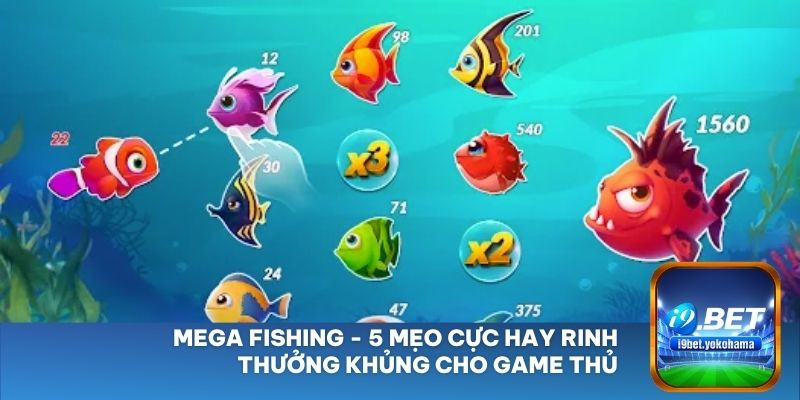 Mega Fishing